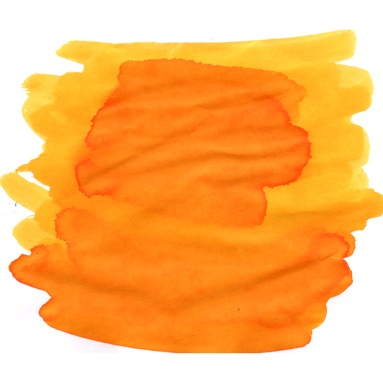 Van Dieman's Tasmania - Wattle 30ml Ink Bottle